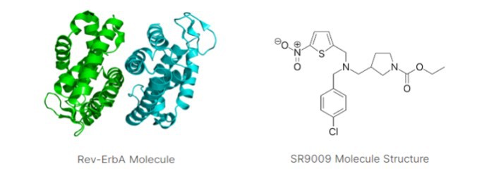 sr9009 molecular