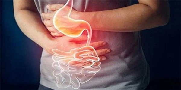 lumbrokinase powder for gastrointestinal discomfort