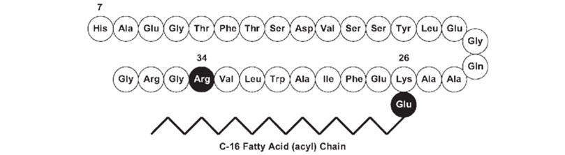 Structure-of-liraglutide Structure-of-liraglutide