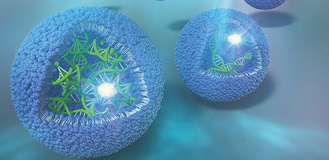 DNA Amplification DNA Amplification