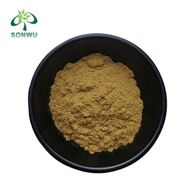 Ashwagandha 뿌리 추출물 분말