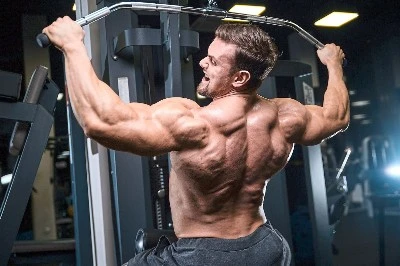 muscle mass muscle mass