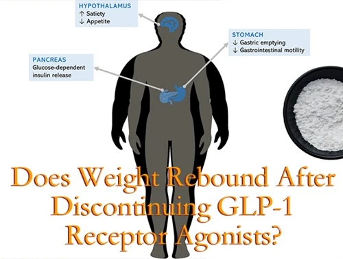 GLP-1 수용체 작용제를 중단한 후 체중이 반등합니까?