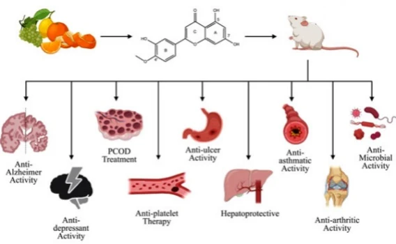 Metabolic health